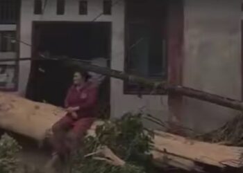 Terkait Dugaan Pembalakan Liar di Lubuk Nyiur, Pemkab Pessel segera Koordinasi dengan Provinsi 18 Warga Duga Pembalakan Liar Biang Kerok Banjir dan Longsor di Pessel, Minta Aparat Bertindak Tegas