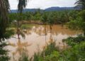 Banjir rusak lahan pertanian di Pasbar beberapa waktu lalu. (dok. Antara)