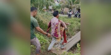 Sempat Dinyatakan Hilang usai Diserang Buaya, Pencari Lokan di Agam Ditemukan Meninggal 8 Evakuasi jasad pencari lokan yang sempat dinyatakan hilang. (Foto: Dok. Basarnas)
