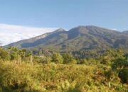 Bahaya! PVMBG Sebut Gas Konsentrasi Tinggi di Kawah Tandikat Dapat Meningkat Tiba-tiba