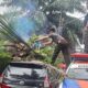 Pohon tumbang menimpa mobil di kawasan Tunggul Hitam pada Senin (19/8/2024) sore. (Foto: Dok. BPBD Padang)