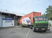 Sumbar Ekspor Produk Kulit Manis ke Amerika Serikat