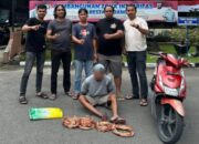 Woalah! Nelayan di Padang Curi Kabel Pemancar Provider