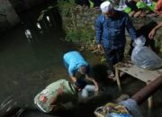 Pemkab Pasaman Barat Dukung Budi Daya Ikan Larangan