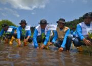 Pertamina Patra Niaga Tanam Pohon Mangrove di Teluk Buo Padang, tak Melulu Soal Bisnis