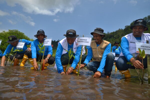 Pertamina Patra Niaga Tanam Pohon Mangrove di Teluk Buo Padang, tak Melulu Soal Bisnis 1 Penanaman pohon mangrove TJSL Pertamina Patra Niaga Regional Sumbagut di kawasan Teluk Buo, Kecamatan Bungus Teluk Kabung, Kota Padang pada Kamis (1/8/2024) lalu. (Foto: Dok. Pertamina)