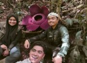 Tarik Kunjungan Wisataman, Pemkab Agam Gencar Promosikan Bunga Rafflesia