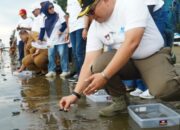 Penyu jadi Maskot Resmi Padang, Berikut Alasan dan Filosofinya