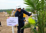 Target 60 Ribu Hektare Peremajaan, Begini Cara PalmCo Gandeng Semua Petani Sawit Indonesia