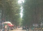 Majukan Wisata, Pemkab Pasbar Sebut Pokdarwis Punya Peranan Penting