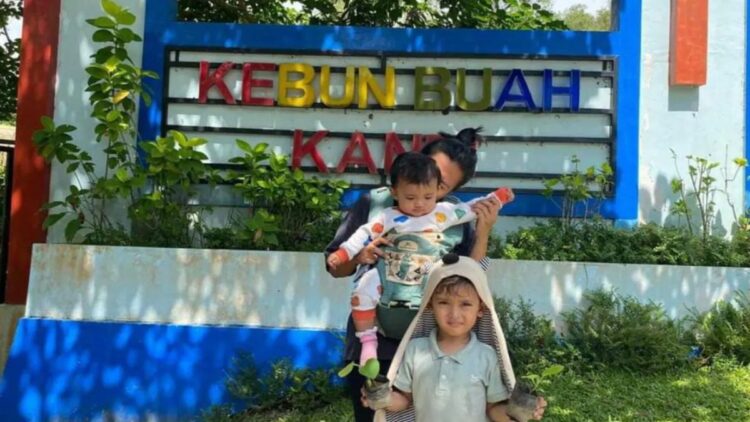 Untuk Edukasi, Kebun Buah Kandi Sawahlunto Beri Bibit Gratis Pengunjung Pelajar 1 Keterangan foto : Salah seorang anak pengunjung kebun buah Kandi menerima bibit buah gratis, yakni dalam promo memeriahkan HUT RI dan peningkatan literasi pertanian kepada generasi muda. (Antarasumbar/HO-Facebook KebunBuah Kandi)