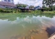 Penemuan Mayat Kembali Terjadi di Sungai Kuranji Padang