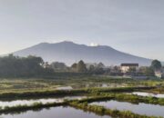 Dua Kabupaten Sepakat Tutup Permanen Jalur Pendakian ke Puncak Gunung Marapi