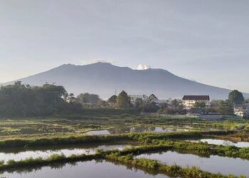 Gunung Marapi yang terletak di Kabupaten Agam dan Kabupaten Tanah Datar mengeluarkan asap putih difoto dari Kabupaten Agam, Minggu (28/7/2024). (ANTARA/Muhammad Zulfikar)