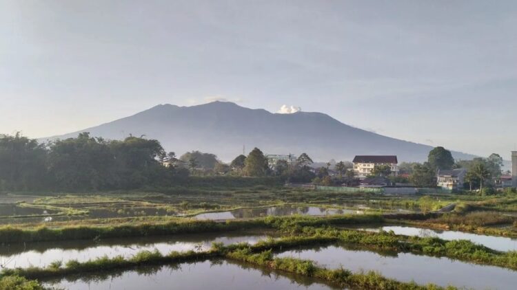 Gunung Marapi yang terletak di Kabupaten Agam dan Kabupaten Tanah Datar mengeluarkan asap putih difoto dari Kabupaten Agam, Minggu (28/7/2024). (ANTARA/Muhammad Zulfikar)