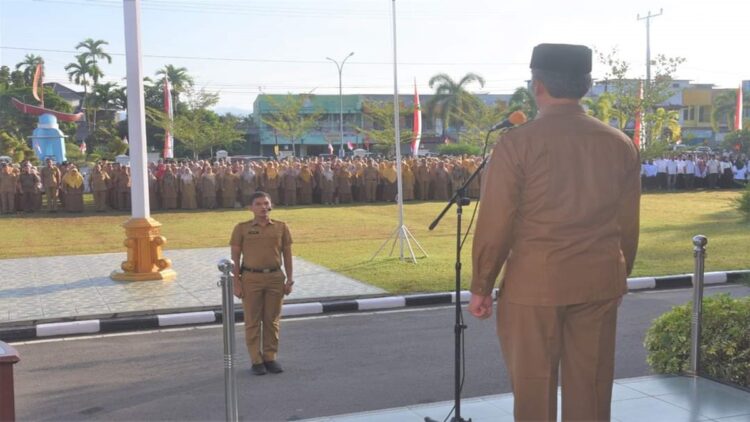 Pemko Pariaman Usulkan 178 Formasi CPNS Tahun Ini 1 Pemko Pariaman mengusulkan 178 formasi CPNS tahun ini. (Foto: Dok. Istimewa)