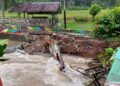Hujan Deras di Pariaman Akibat Jembatan Putus dan 465 KK Terdampak Banjir 2 Hujan Deras di Pariaman Akibat Jembatan Putus dan 465 KK Terdampak Banjir