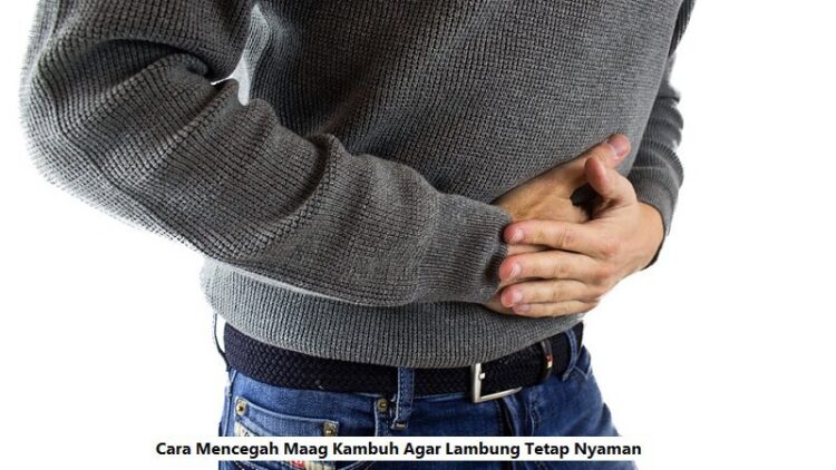 Cara Mencegah Maag Kambuh Agar Lambung Tetap Nyaman 1 Cara Mencegah Maag Kambuh Agar Lambung Tetap Nyaman pexels.com