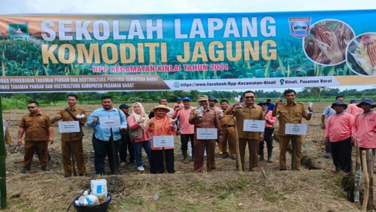 Tingkatkan Pengetahuan Petani, Pemkab Pasbar Optimalkan Sekolah Lapangan 1 Kegiatan sekolah lapangan bagi petani yang diadakan di Kecamatan Kinali beberapa waktu lalu. Antara/HO-HO-DTPH Pasaman Barat.