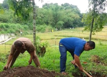 Antisipasi Banjir di Taman Bidadari, Pemko Solok Buat Lubang Biopori