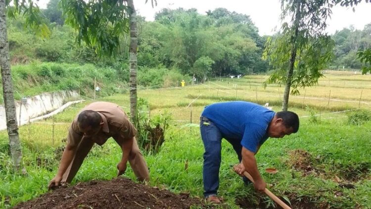 Dinas Lingkungan Hidup (DLH) Kota Solok, Sumatera Barat saat membuat lubang biopori untuk mengatasi sampah organik dan banjir di daerah setempat. ANTARA/HO-Diskominfo Solok