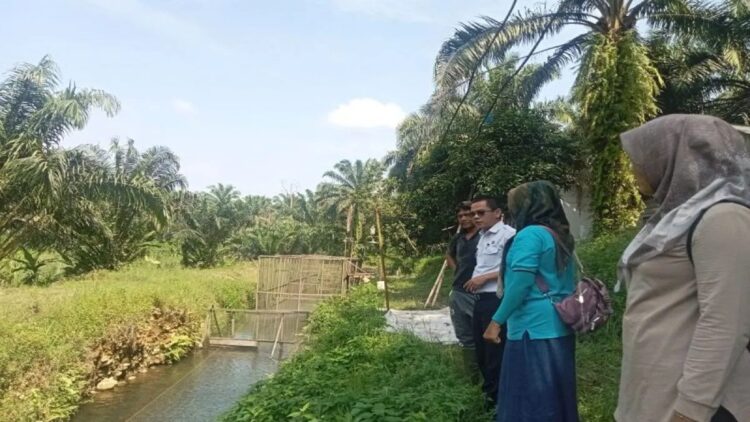 Kepala Dinas Perikanan Pasaman Barat Zulfi Agus (baju putih) saat melakukan peninjauan dan pembinaan kepada kelompok budi daya perikanan di Simpang Empat, beberapa waktu lalu. ANTARA/Altas Maulana