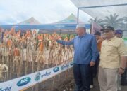 Dukung Ketahanan Pangan, Pemkab Pasaman Barat Dorong Petani Jaga Produksi Jagung