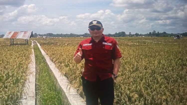 Kepala Dinas Tanaman Pangan dan Hortikultura Pasaman Barat Pasaman Barat Doddy San Ismail saat meninjau lahan persawahan di Desa Baru Kecamatan Ranah Batahan beberapa waktu lalu. ANTARA/Altas Maulana.