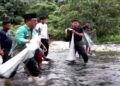 Jelang Maulid Nabi, Warga Padangpariaman Lakukan Tradisi Menangkap Ikan Larangan 7 Jelang Maulid Nabi, Warga Padangpariaman Lakukan Tradisi Menangkap Ikan Larangan