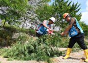 PT Semen Padang Optimalkan AFR, Dukung Transisi Energi Bersih