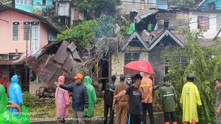 Hujan Merata di Kota Padang, BPBD Imbau Warga Waspada Banjir dan Longsor 1 Petugas BPBD membersihkan material pohon yang meninmpa rumah warga, Senin (9/9/2024). (Foto: Dok. BPBD Padang)