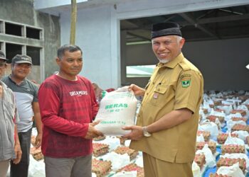 Kinerja Gubernur Dipuji, Indeks Ketahanan Pangan Sumbar Masuk Kategori Paling Baik Nasional