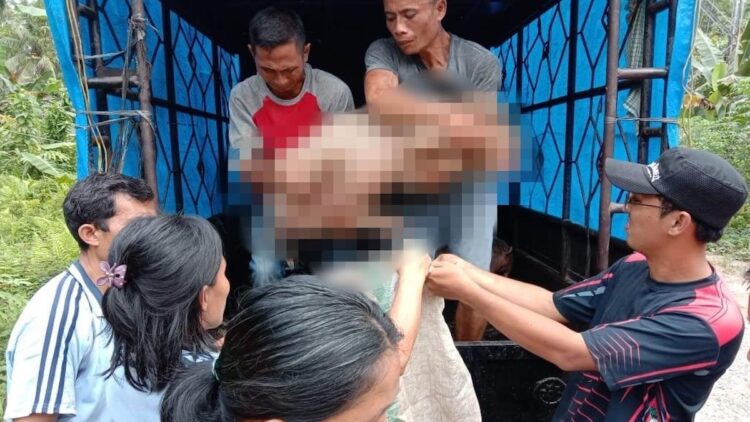 Bantuan Desa Tingkatkan Peternakan di Nias: Warga Onozitoli Dulu Dapat Hewan Ternak 1 Bantuan ternak untuk warga Desa Onozitoli Dulu, Kecamatan Hiliduho, Kabupaten Nias, Sumut. (dok. istimewa)