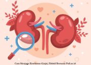 Cara Menjaga Kesehatan Ginjal, Penuhi Kebutuhan Cairan Tubuh