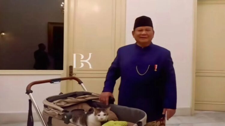 Bobby Kertanegara dipastikan jadi penghuni Istana Negara temani Presiden ke-8 RI Prabowo Subianto. (ANTARA/instagram @bobbykertanegara)