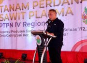 PTPN IV PalmCo Targetkan 2,1 Juta Bibit Unggul Diserap Petani hingga 2024, Begini Strateginya