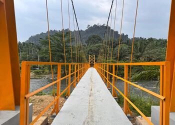 Pemkab Pessel Tuntaskan Pembangunan Jembatan Lubuk Betung, Akses Warga Kini Lancar 10 Pemkab Pessel Tuntaskan Pembangunan Jembatan Lubuk Betung, Akses Warga Kini Lancar