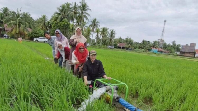 Kepala Bidang Tanaman Pangan Hortikultura dan Perkebunan Dinas Pertanian Pangan dan Perikanan (DPPP) Kota Pariaman, Sumbar Marlina Sepa (dua kanan) menyaksikan pompa air irigasi memompakan air untuk lahan persawahan di daerah itu. Antara/HO-DPPP Pariaman.