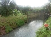 Rehab Kolam BBI Suko Mananti, Pemkab Pasbar Gelontorkan Dana Rp1,8 Miliar