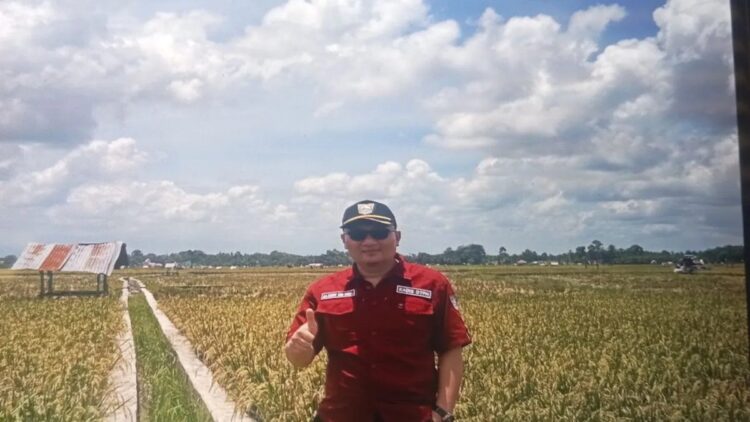 Antisipasi Gagal Panen, DTPH Pasaman Barat Ingatkan Petani Atur Jadwal Tanam 1 Kepala Dinas Tanaman Pangan dan Hortikultura Pasaman Barat Doddy San Ismail saat meninjau lahan persawahan petani di daerah itu beberapa waktu lalu. Antara/Altas Maulana.