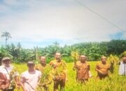 Atasi Kekeringan Lahan akibat Kemarau, Pemkab Pasbar Salurkan Pompa ke Petani