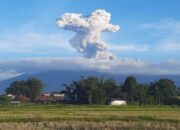 Gunung Marapi Erupsi, Kolom Abu Capai 1.600 Meter