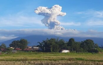 Gunung Marapi Sumatera Barat (2.891) Mdpl, kembali erupsi dengan ketinggian abu vulkanik mencapai 1.000 meter dari atas puncak (Antara/Al Fatah)