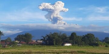 Gunung Marapi Sumatera Barat (2.891) Mdpl, kembali erupsi dengan ketinggian abu vulkanik mencapai 1.000 meter dari atas puncak (Antara/Al Fatah)