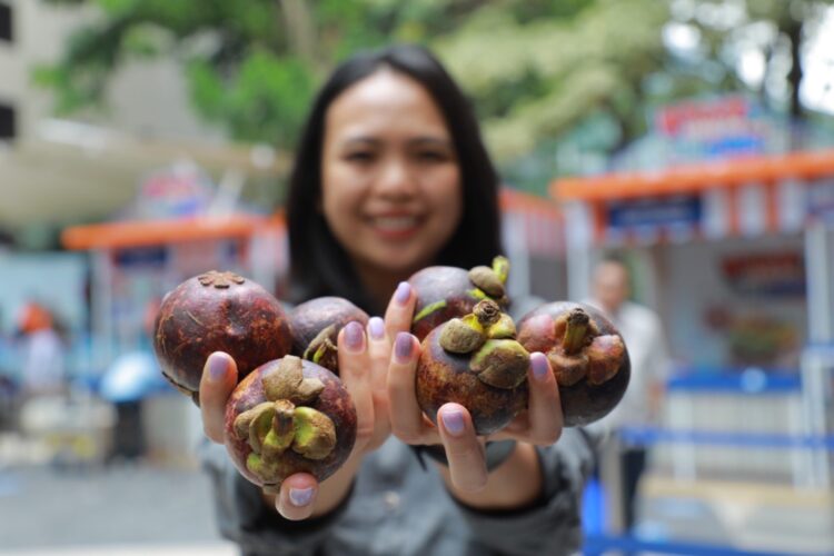 Program Pemberdayaan BRI Dorong Klaster Usaha Manggis di Bali Perluas Jaringan Pemasaran 1 Program Pemberdayaan BRI Dorong Klaster Usaha Manggis di Bali Perluas Jaringan Pemasaran