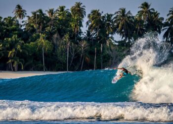 ilustrasi berselancar di Mentawai. (dok. istimewa)