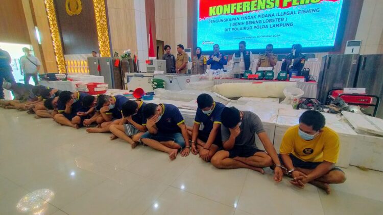 Penegakan Hukum Tegas untuk Perdagangan Benih Lobster Ilegal di Lampung 1 Konpers pengungkapan ilegal fishing di Polda Lampung. (dok. istimewa)