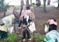 Tenaga honorer di Pemkot Pariaman gelar aksi bersih-bersih pantai. (dok. istimewa)
