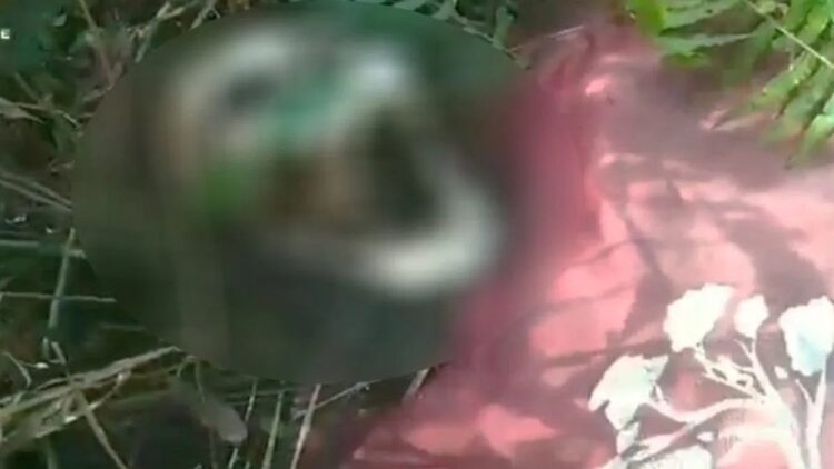 Sesosok tengkorak manusia yang ditemukan oleh warga di hutan di Desa Sei Ahas, Kecamatan Mantangai, Kabupaten Kapuas, Sabtu (12/10/2024) pagi. ANTARA/HO-warga