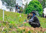 Pulihkan Hutan Bekas Tambang, Aksi Nyata Kelompok Tani Selamatkan Lingkungan Bersama BRI Menanam-Grow & Green